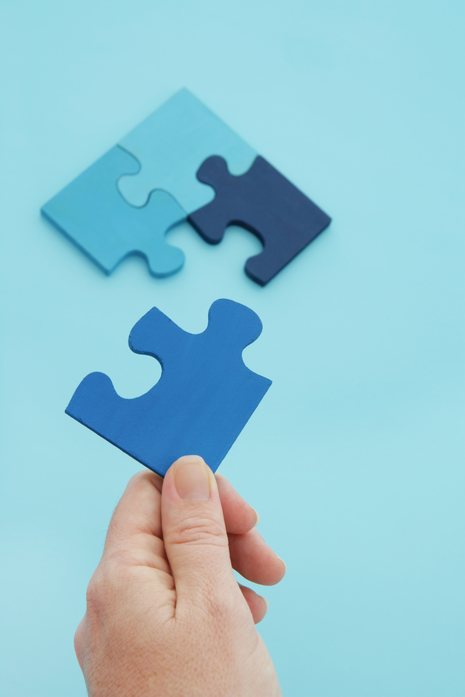 law service membership